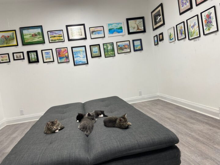 Big News at Gallery 39!