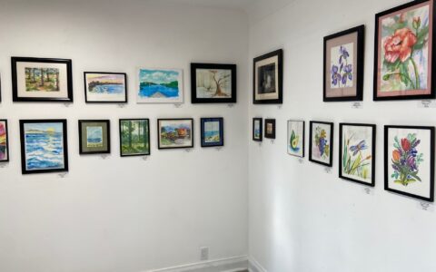 Exhibition opening: Impressions