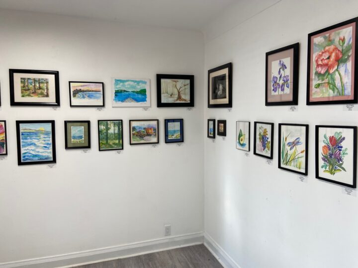 Exhibition opening: Impressions