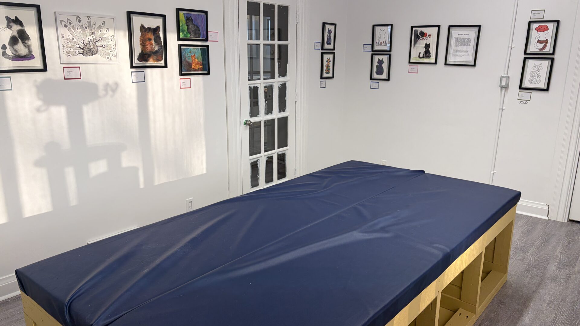 Progress on the cat art gallery!