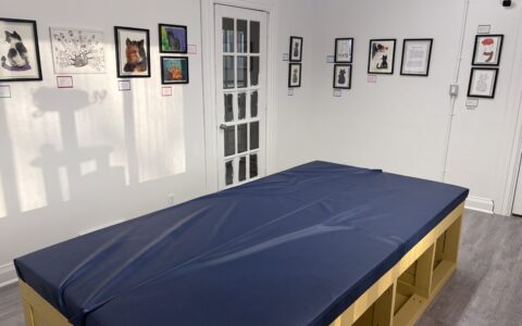 Progress on the cat art gallery!